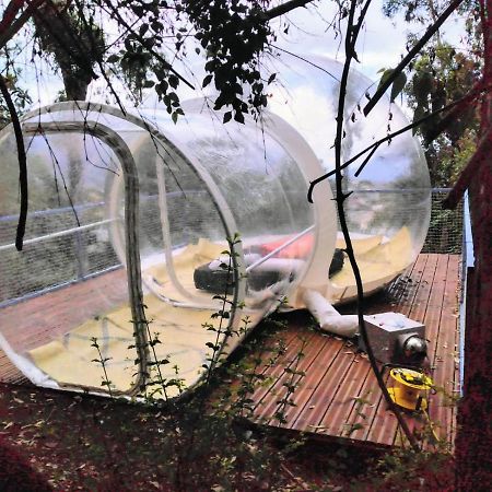 Hotel Dans Ma Bulle By C Cibeaulaos Cilaos Exterior foto