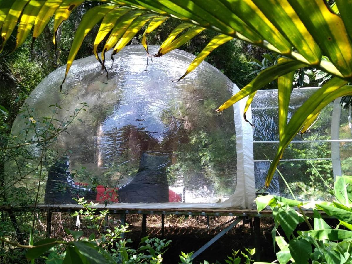 Hotel Dans Ma Bulle By C Cibeaulaos Cilaos Exterior foto